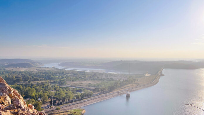 pexels-viral-6638603