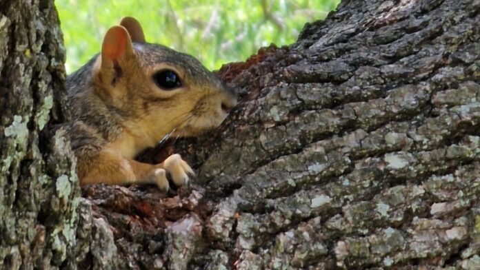 488762252_9761761270522283_4333833662306835952_n